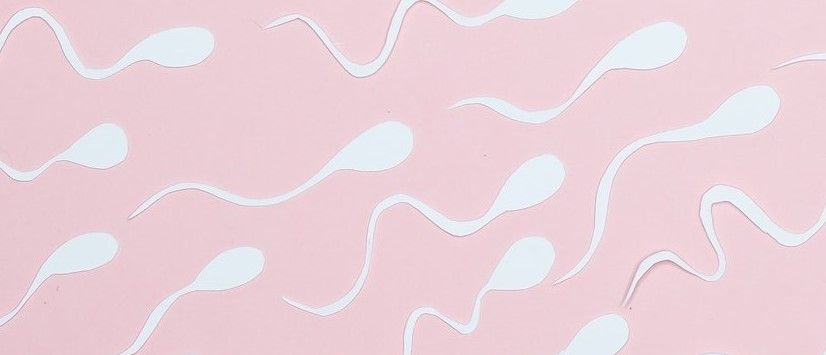 Nove WHO smjernice za ocjenu plodnosti muškaraca