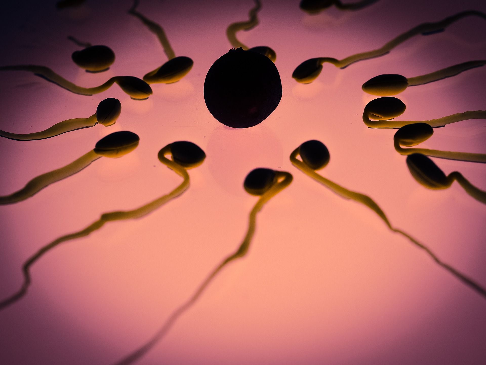Zašto je spermiogram često netočan?